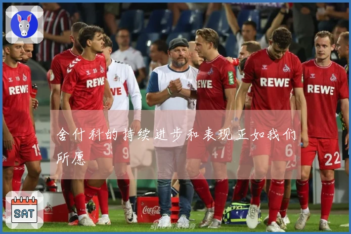 舍什科的持续进步和表现正如我们所愿